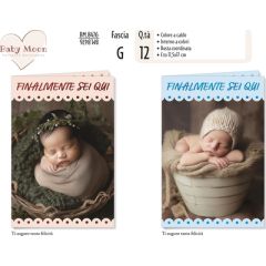 8001608384761_2025_12_15_11_55_29