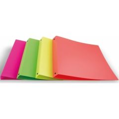 RACCOGLITORE CON ANELLI A4 PPL D30 NEON ASS. 80980