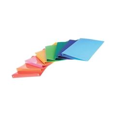 RACCOGLITORE CON ANELLI A4 PPL D16 LACCATO 01NIK243/1