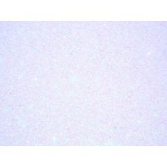8051818040483_2025_08_12_07_47_26